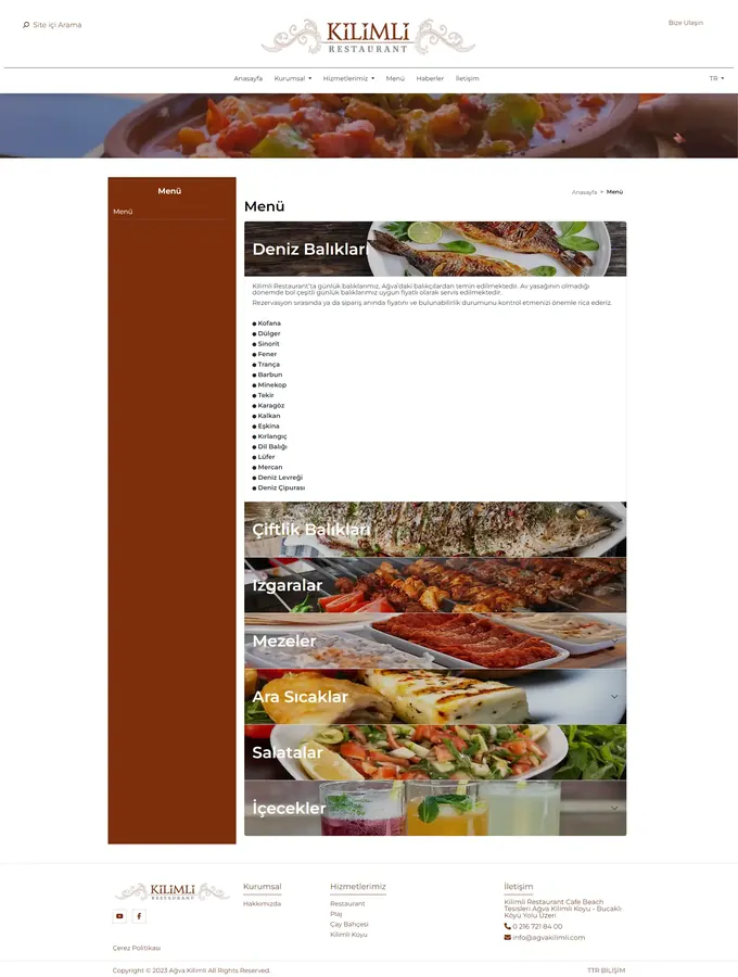Çok dilli firma web sayfası örneği